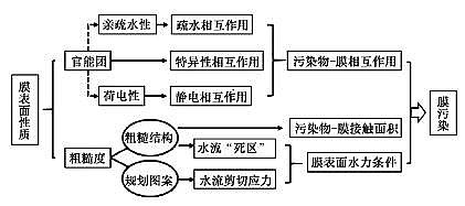 精選懸浮球生物填料廠家高壓膜表面性質(zhì)對膜污染的影響機制