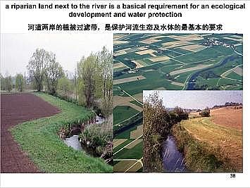 �Ϻ�ʯӢɰ�V�ϏS�ҵ�(gu��)�ӵ��Ľ���Ȼ�ޏ�(f��)��(sh��)�`