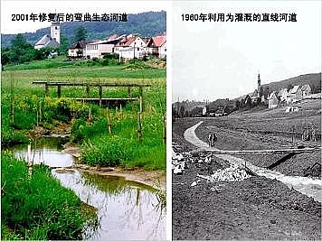 �Ϻ�ʯӢɰ�V�ϏS�ҵ�(gu��)�ӵ��Ľ���Ȼ�ޏ�(f��)��(sh��)�`