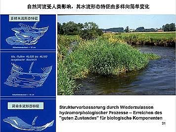 �Ϻ�ʯӢɰ�V�ϏS�ҵ�(gu��)�ӵ��Ľ���Ȼ�ޏ�(f��)��(sh��)�`