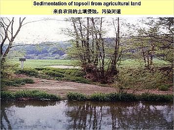 �Ϻ�ʯӢɰ�V�ϏS�ҵ�(gu��)�ӵ��Ľ���Ȼ�ޏ�(f��)��(sh��)�`