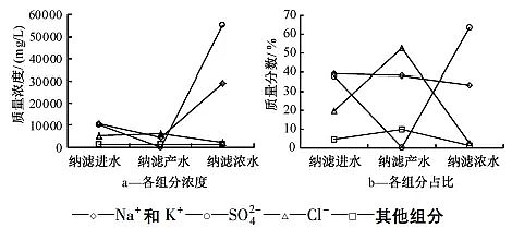 高能果殼活性炭廠家高分離納濾系統在煤化工高鹽廢水零排放中的應用