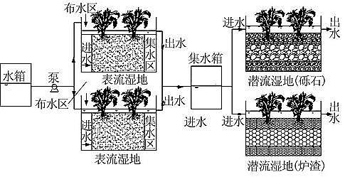 多功能鐵碳微電解填料廠家人工濕地污水生態處理工藝強化應用進展