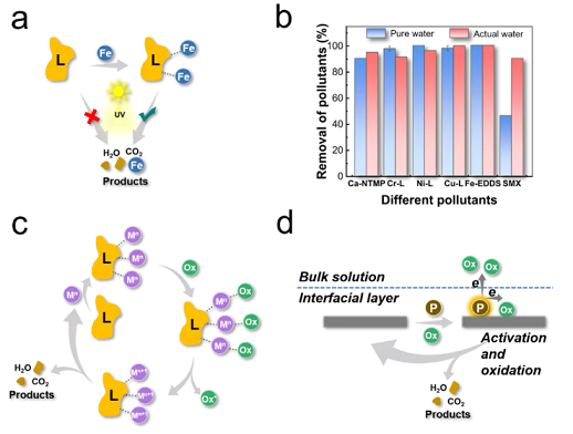 上好結(jié)晶氯化鋁生產(chǎn)廠家探討選擇性氧化水處理技術(shù)的原理、策略及挑戰(zhàn)