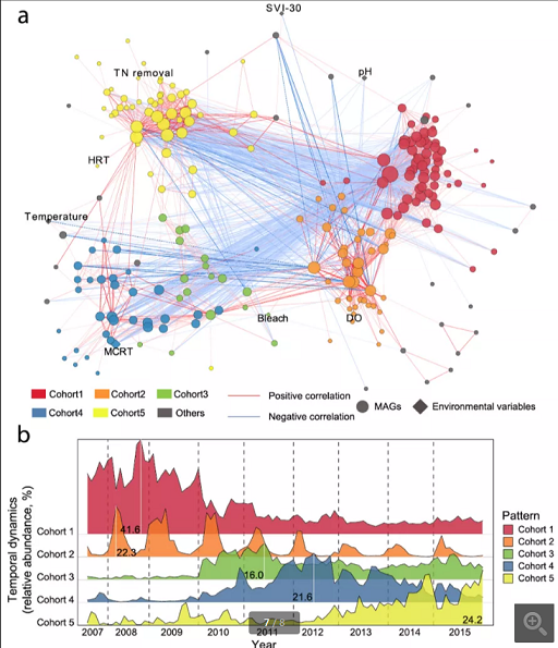 上等堿式氯化鋁生產廠家香港污水廠9年跟蹤發現:萬變的菌,不變的出水
