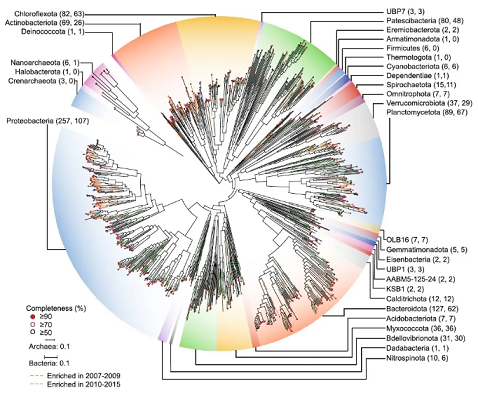 上等堿式氯化鋁生產廠家香港污水廠9年跟蹤發現:萬變的菌,不變的出水