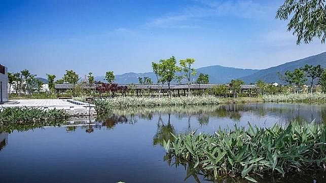 精良生物火山巖濾料生產廠家高污染工業廢水及生活污水處理+濕地公園+光伏發電!這座污水廠獲國家優質工程獎