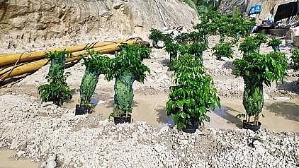 �๦�ܷ������͚��������a(ch��n)�S������h(hu��n)��������ˣ���ˮ̎��S��������ϵ�y(t��ng)���c�c��!