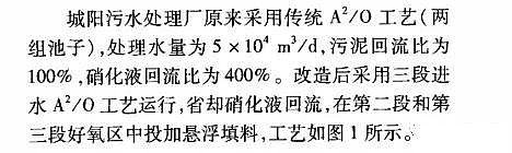 精制乙酸鈉碳源生產廠家靠“零碳源投加技術”每年省下1000萬!真相是什么?