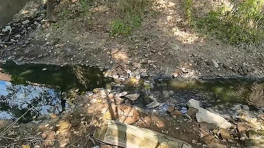 ���ܸ����w�S��V�ϏS�Ҷ�غڳ�ˮ�w���ڷ���!�σ|���~Ͷ�Y������ˮƯ��?