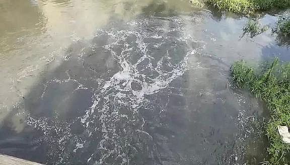 ���ܸ����w�S��V�ϏS�Ҷ�غڳ�ˮ�w���ڷ���!�σ|���~Ͷ�Y������ˮƯ��?