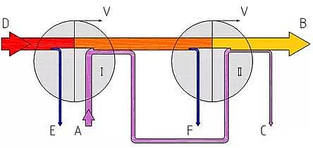 �������������V�ϏS�Ҕ�(sh��)ʮ�N���}�Uˮ̎���������Ă�(g��)���ǌ�(sh��)�F(xi��n)�����ŷš����P(gu��n)�I·��?