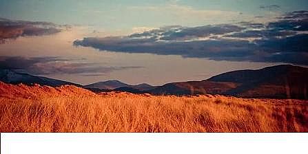 �������P��w�S�����^���a�S�ҏĘI���A�濴2021�h���ИI���F����ǰ���톢ʾ�