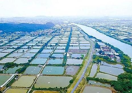 全新鵝卵石濾料廠家養殖尾水治理將有大動作!各地排放標準實行“地域定制”