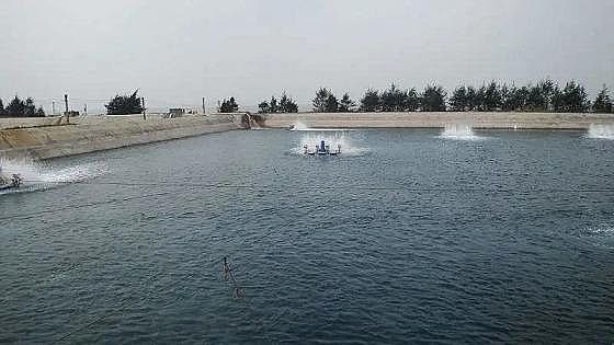 全新鵝卵石濾料廠家養殖尾水治理將有大動作!各地排放標準實行“地域定制”