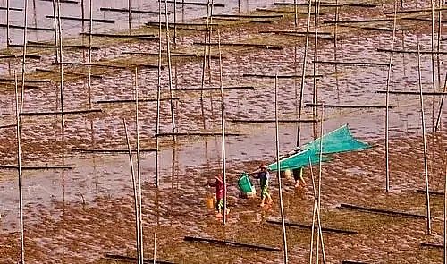 全新鵝卵石濾料廠家養殖尾水治理將有大動作!各地排放標準實行“地域定制”