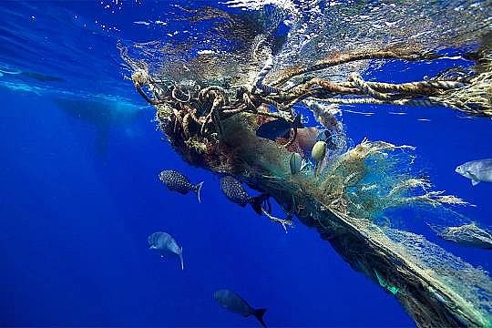 2022年液面覆蓋球廠家這個“垃圾大國”,真是讓我開眼了!