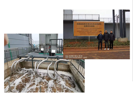 2022年活性氧化鋁球濾料廠家耐鹽菌種生化技術(shù)垃圾滲濾液/RO濃水/MVR母液提供一種新的低碳解決方案