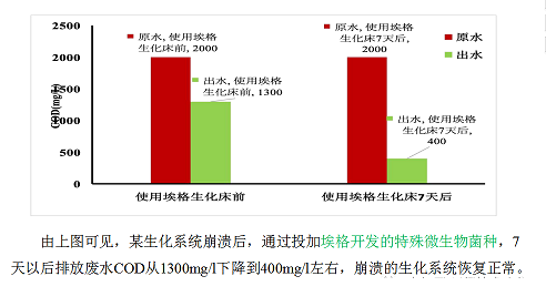 2022年活性氧化鋁球濾料廠家耐鹽菌種生化技術(shù)垃圾滲濾液/RO濃水/MVR母液提供一種新的低碳解決方案