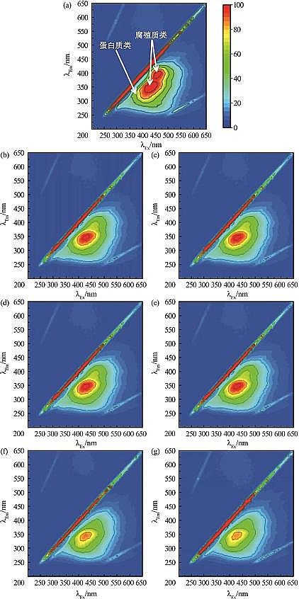 2022年生物流化床填料MBBR價格電化學(xué)紫外耦合膜過濾深度處理化工廢水中水研究