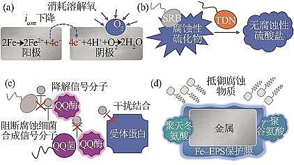2022年阻垢劑循環冷卻水微生物調節水質機理研究進展