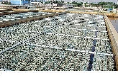 高品質(zhì)非氧化型殺菌劑廠家污水廠提標面臨脫磷除氮問題,怎么改造?這三種方法幫助你!