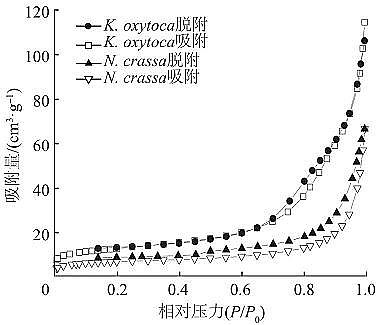 高品質粉末粉狀活性炭生產廠家生物礦化法制備納米氧化鐵及其對亞甲基藍的吸附