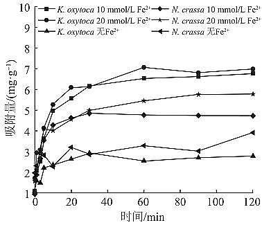 高品質粉末粉狀活性炭生產廠家生物礦化法制備納米氧化鐵及其對亞甲基藍的吸附