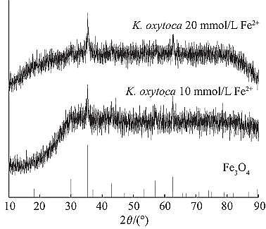 高品質粉末粉狀活性炭生產廠家生物礦化法制備納米氧化鐵及其對亞甲基藍的吸附