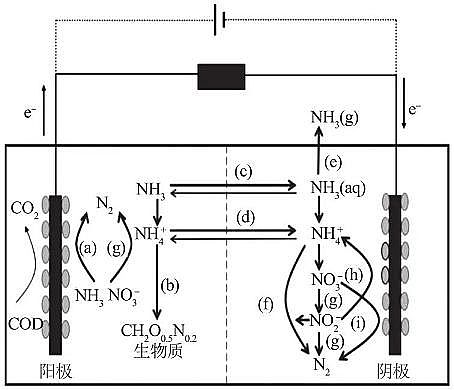 精美結(jié)晶氯化鋁生產(chǎn)廠家生物電化學系統(tǒng)廢水脫氮機理及影響研究進展