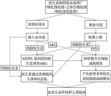 2022年聚合氯化鋁PAC多少錢(qián)制藥廢水處理系統(tǒng)中抗生素抗性基因的研究進(jìn)展