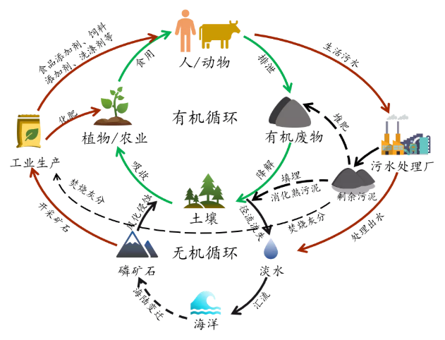 2022年優質水處理材料生產廠家從污水中回收磷
