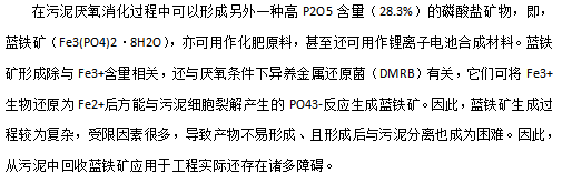 2022年優質水處理材料生產廠家從污水中回收磷