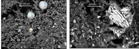 2022��ˮ̎���������a(ch��n)�S�ҏ�����ˮ�л����{(l��n)�F�V