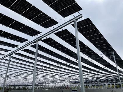 高性能5A分子篩生產廠家全國最大的污水處理廠分布式光伏發電項目 5.4萬塊光伏板即將鋪裝完畢