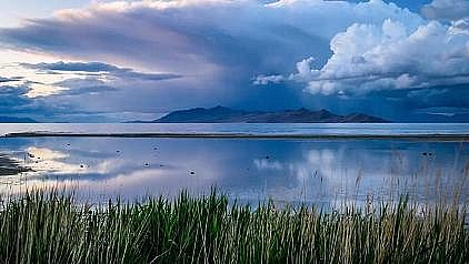 多功能磁鐵礦濾料生產(chǎn)廠家【觀點】為何不應盲目提高污水處理廠出水標準?