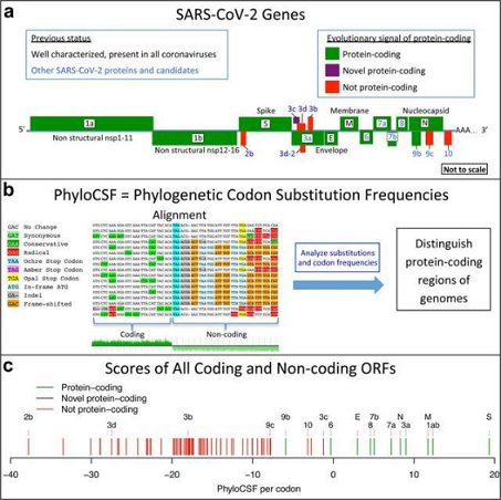 ������ĭ�V��V�����a�S���ь���ˮ�еĊW�ܿ���/Omicron����