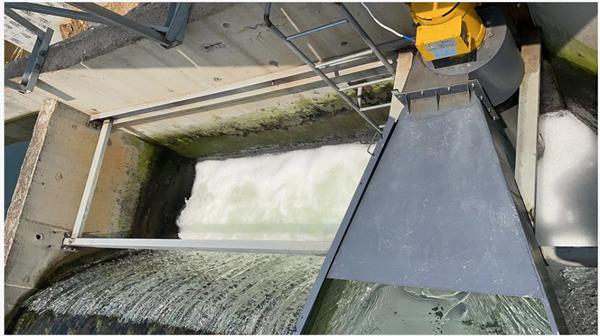 環保纖維束填料生產廠家武漢光谷環保科技:尾水水力發電+光伏發電+風力發電,污水廠變“能源工廠”